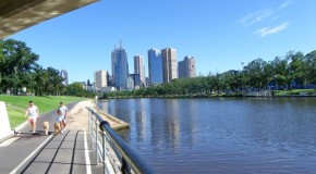 Pet-Friendly Accommodation: Melbourne and Surrounds