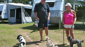 Pet-Friendly Caravan Parks: NSW North Coast