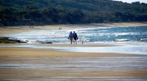 Pet-Friendly Accommodation: Central Queensland