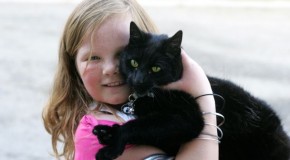 Pet-friendly Caravan Parks: Great Ocean Road