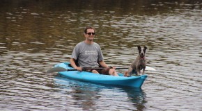 Dog-Friendly Camping in Queensland