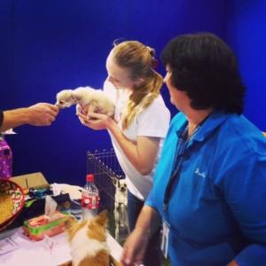 Dog lovers show 2015