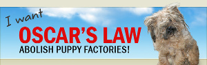 I want Oscar's Law. Abolish puppy factories!