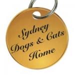 sydney-dogs-and-cats-home-150x150