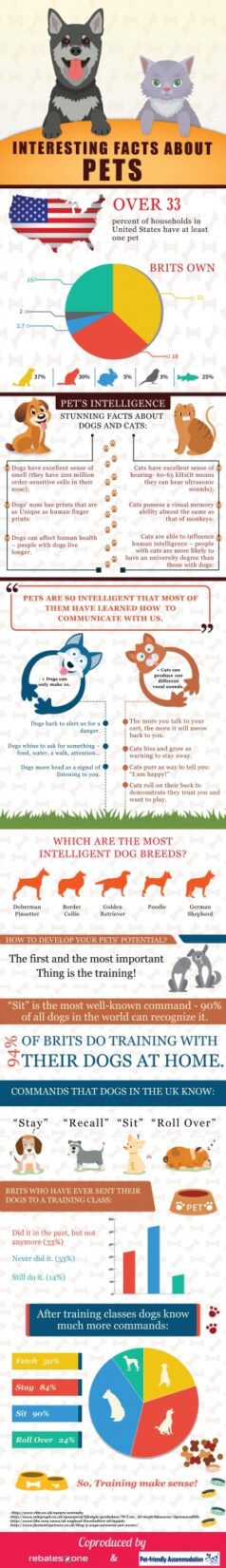 Interesting Facts About Pets
