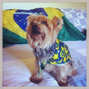 World Cup Pets