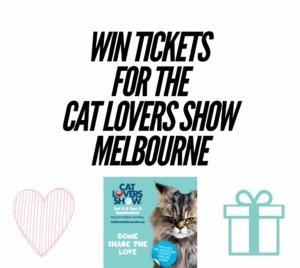 Cat Lovers Show