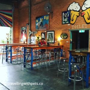 Dog-Friendly Pubs Near Me – Sydney