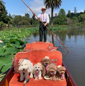 Pets On The Punt