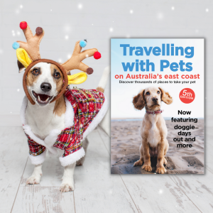 10 Christmas Gifts For Pet Lovers.