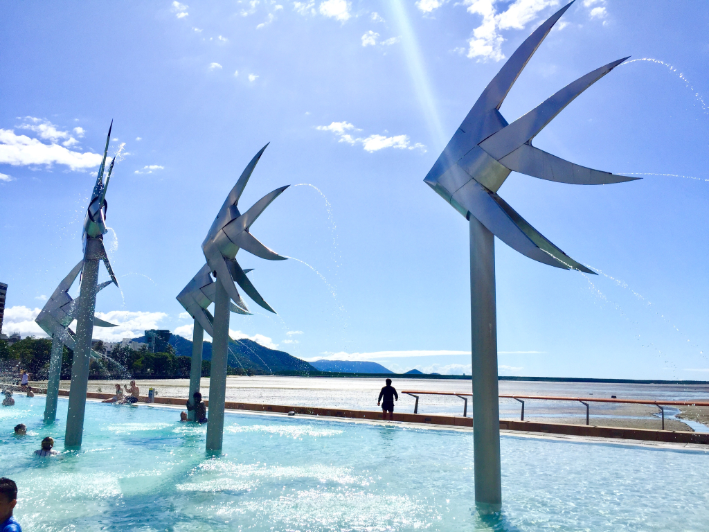 Best DogFriendly Cafes in Cairns Pet Friendly