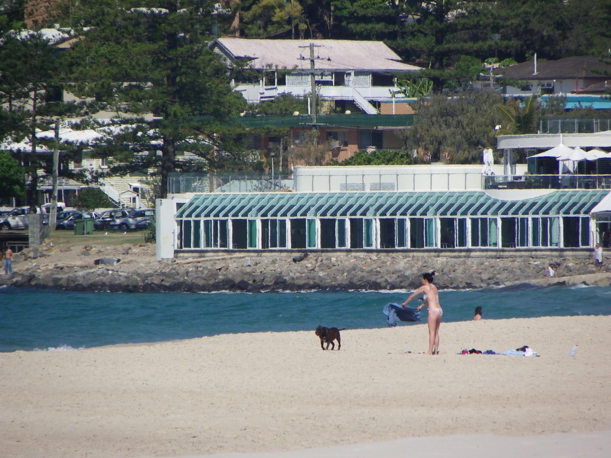 Dog Friendly Beaches Gold Coast | Pet Friendly Gold Coast