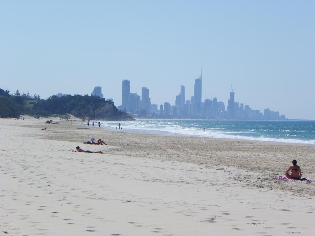 Dog Friendly Beaches Gold Coast Pet Friendly Gold Coast