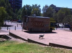 Dog Friendly: Sydney Park, St Peters