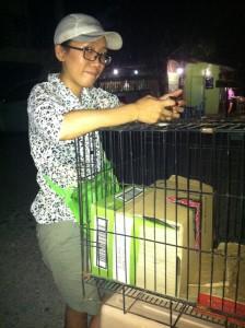 animal rescue Boracay