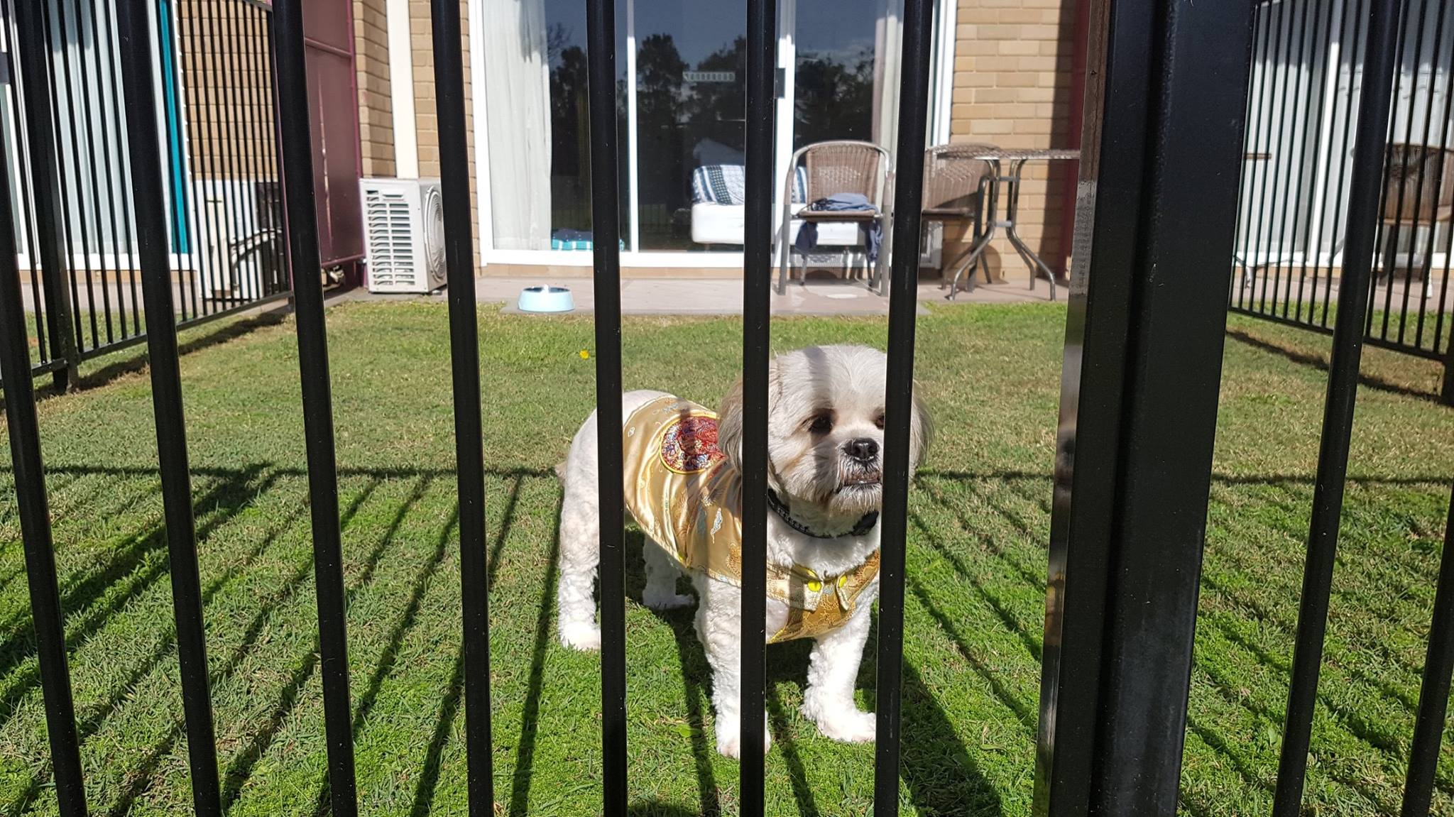 PetFriendly Central Coast Pet Friendly