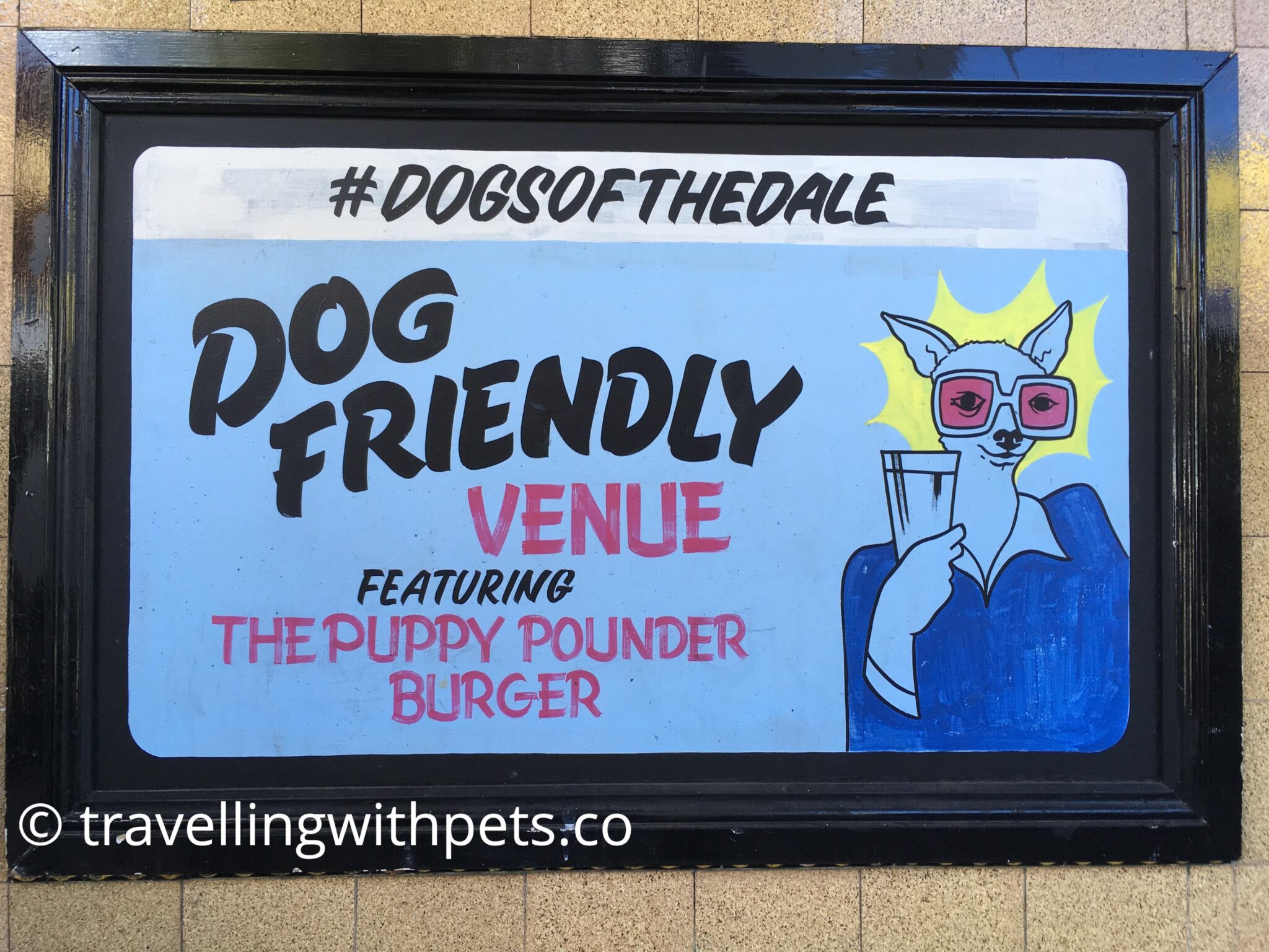 DogFriendly Pubs Near Me Sydney Pet Friendly