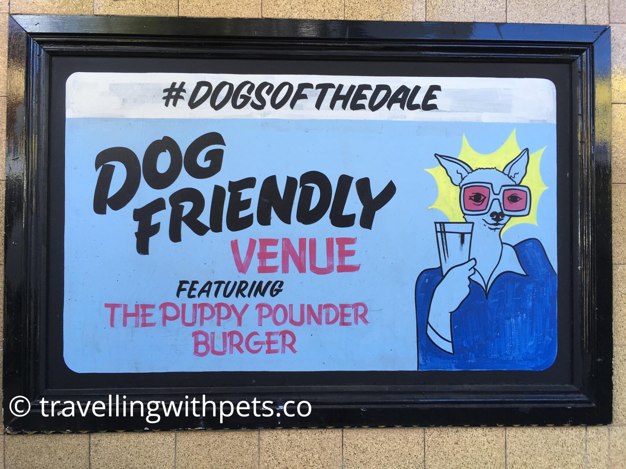 Dog Friendly Pubs Near Me Sydney Pet Friendly Accommodation