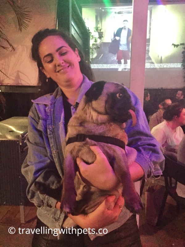 DogFriendly Pubs Near Me Sydney Pet Friendly