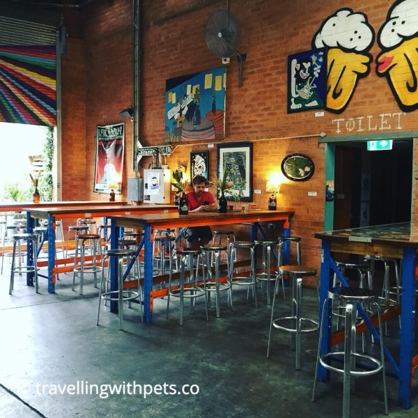 DogFriendly Pubs Near Me Sydney Pet Friendly