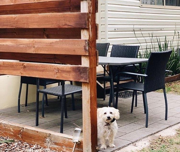 Pet Friendly in Mornington Peninsula