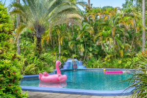 Pink Flamingo Resort Port Douglas 06338