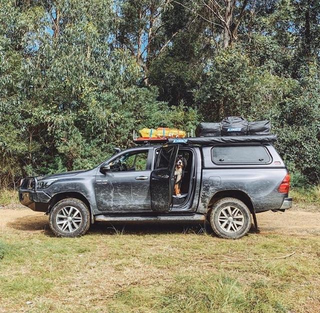 Frying Pan Creek Camping Area Pet Friendly
