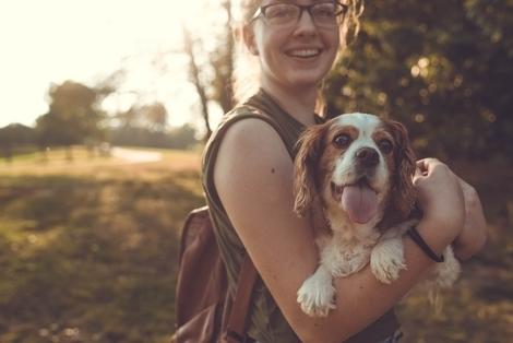 Travelling With A Pet What Do I Need To Prepare?