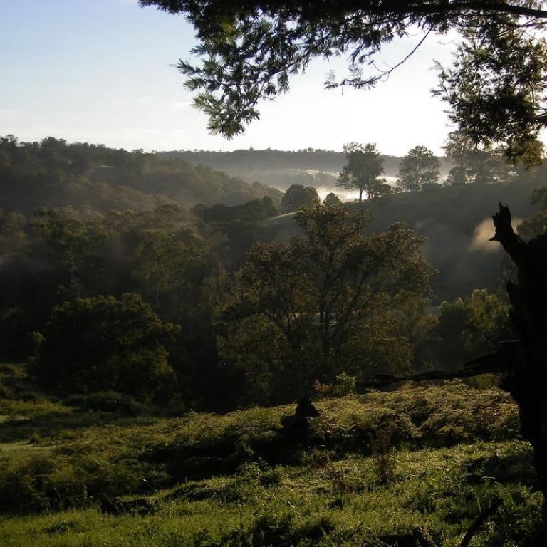 Pet Friendly South Coast NSW