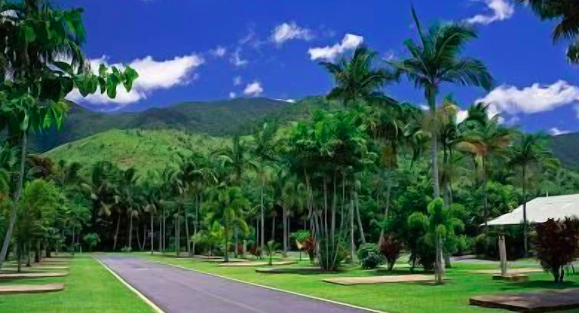 Cairns Crystal Cascades Holiday Park