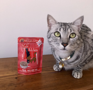 The Best Wet Food Pouches For Your Cat W