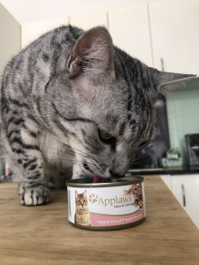The Best Tinned for your cat