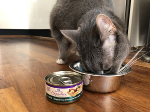 The Best Tinned Food For Your Cat