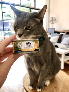 The Best Tinned Food For Your Cat 2
