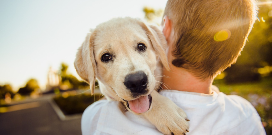 10 Tips For Bonding With Your New Dog