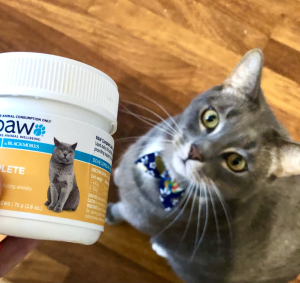 Best Calming Treats For Cats 2