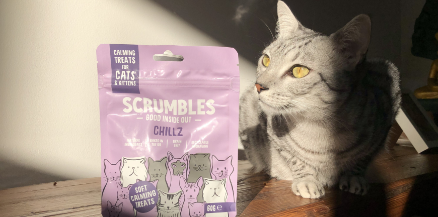 The Best Calming Treats For Cats