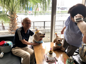 Dog Dept + Cafe Asakusa Sumida River Terrace. 5