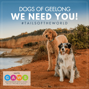 Dogs Of Geelong We Need You