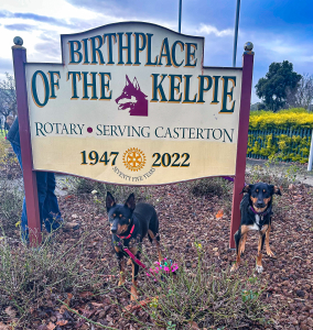 Home of the Kelpie