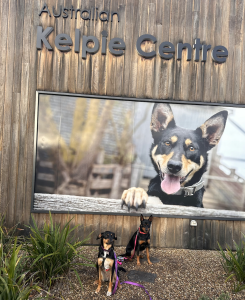 Kelpie Centre