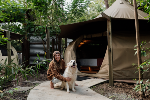 Tamborine Mountain Glades