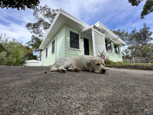 Barney’s Beach House Narrawallee