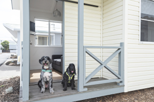 Aspen Tween Waters Merimbula Cabin 9 Pet Friendly 2463