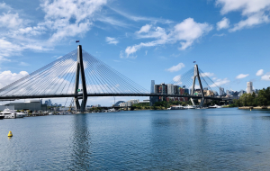 Glebe To Barangaroo Ferry With Dogs 2